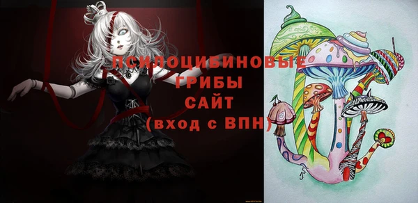 бошки Михайловск