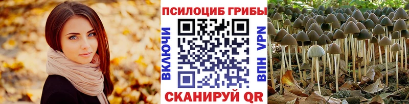 купить закладку  Туран  Псилоцибиновые грибы MAGIC MUSHROOMS 
