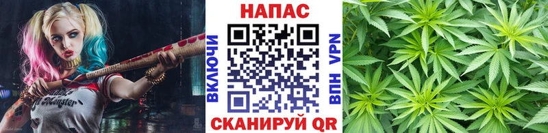 Бошки марихуана THC 21%  Туран 